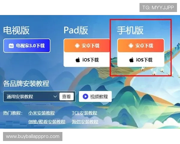 芒果体育直播的安全性与隐私保护措施，保障用户观看体验